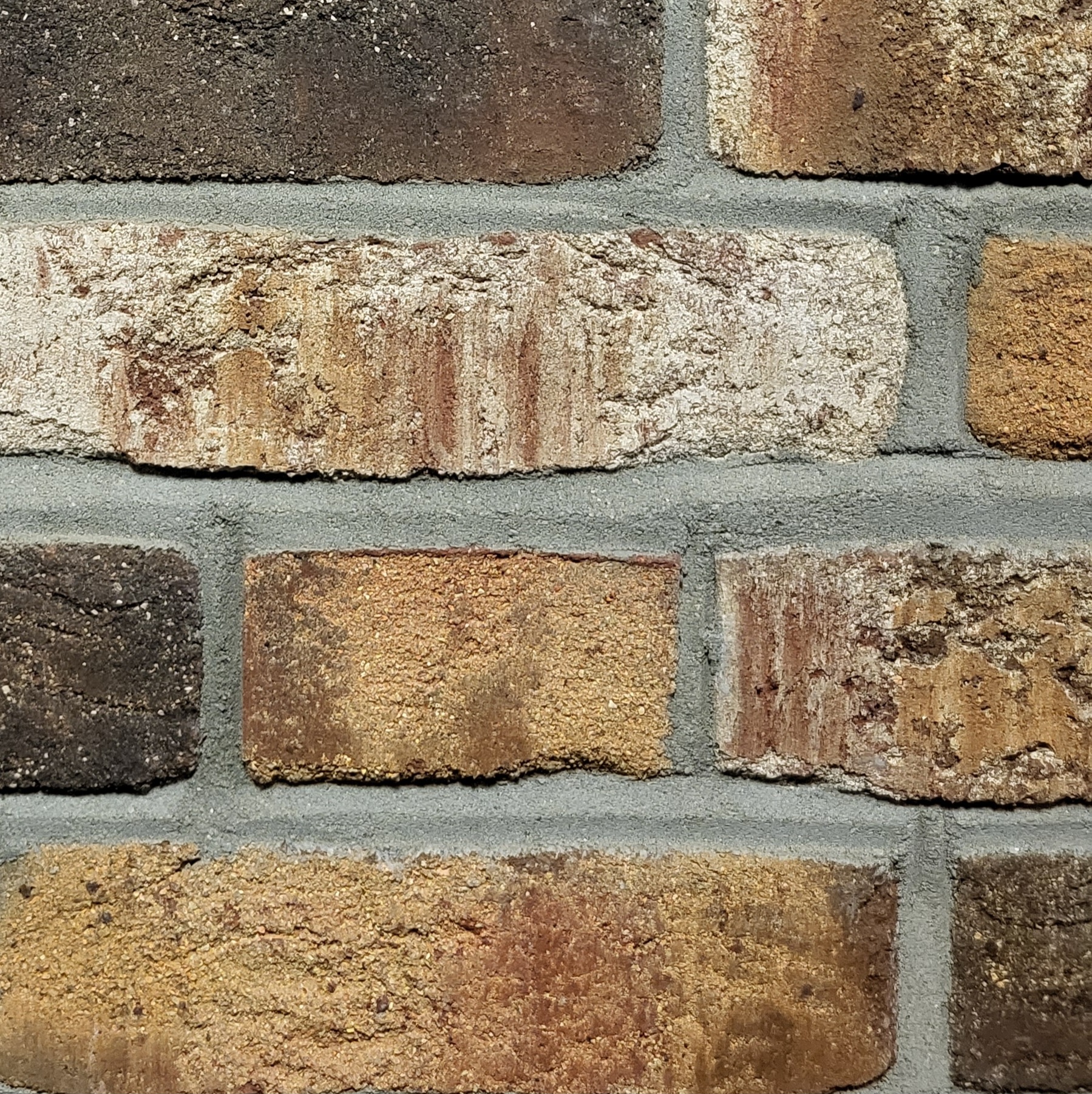 Primarstufe Carl-Ludwig-Jessen-Schule-A.L.Jensen