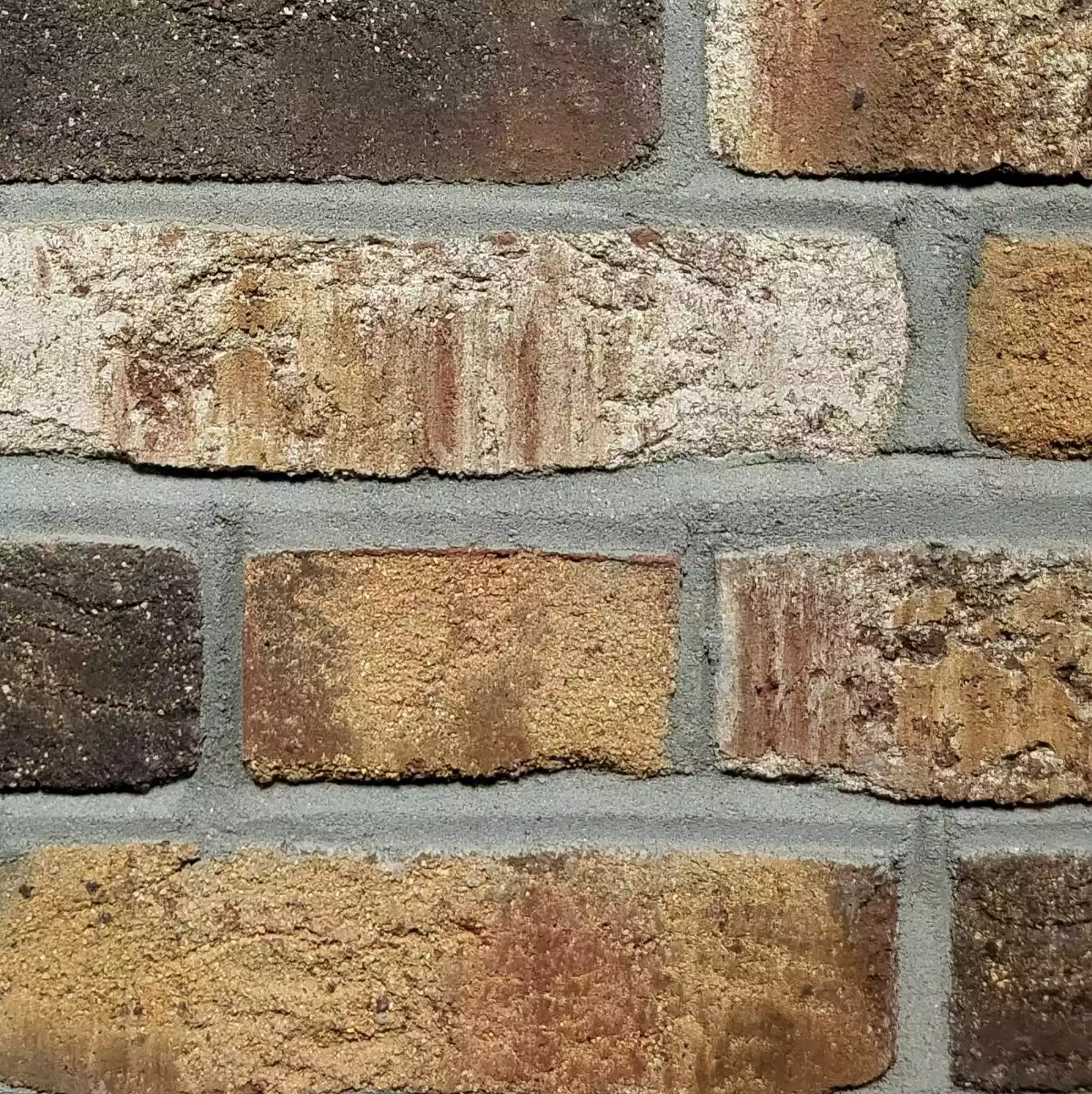 Primarstufe-Carl-Ludwig-Jessen-Schule-M.Thiesen